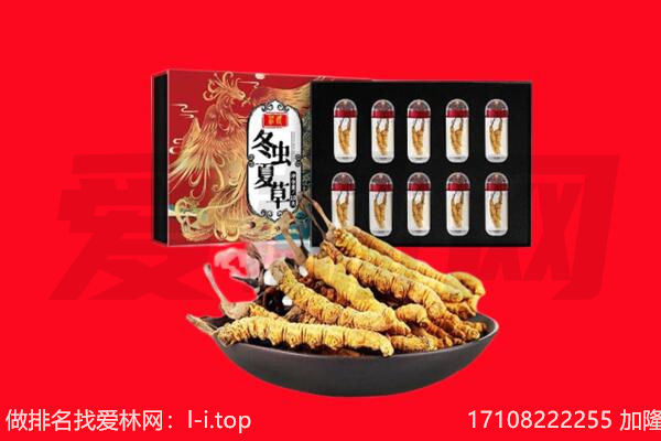 澄迈回收虫草.jpg
